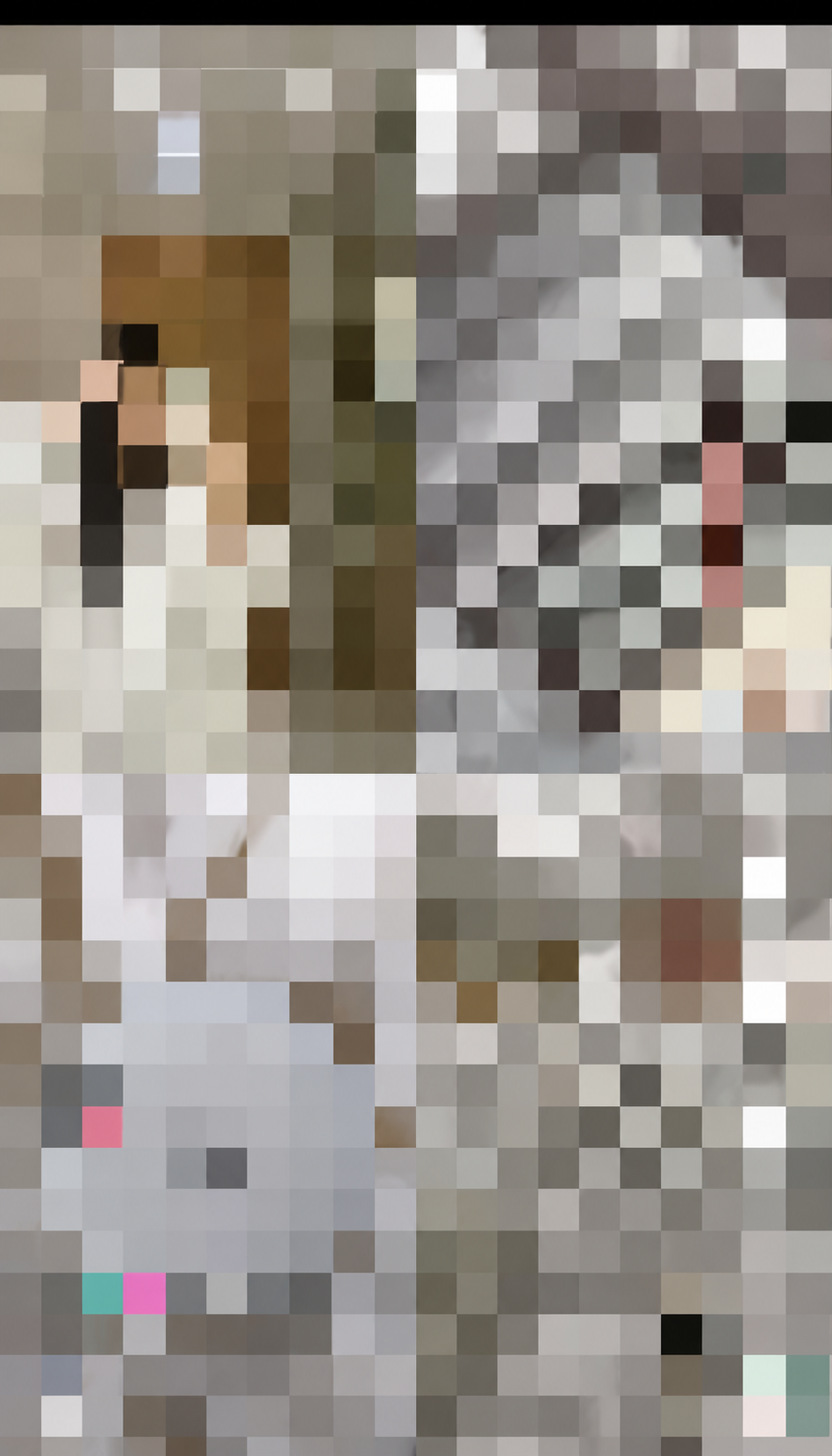 MIRROR — pixelated TikTok screenshot 3