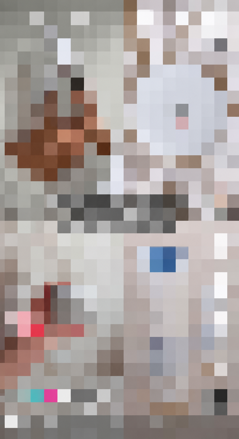 MIRROR — pixelated TikTok screenshot 4