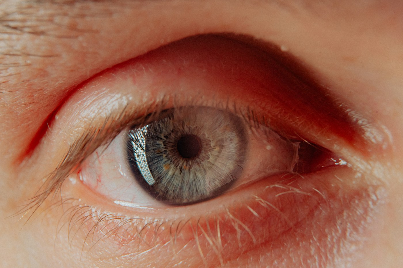 Photographic eye with an olive holographic treatment