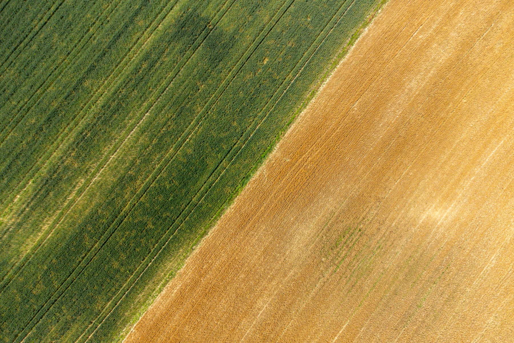 Fields seen from above